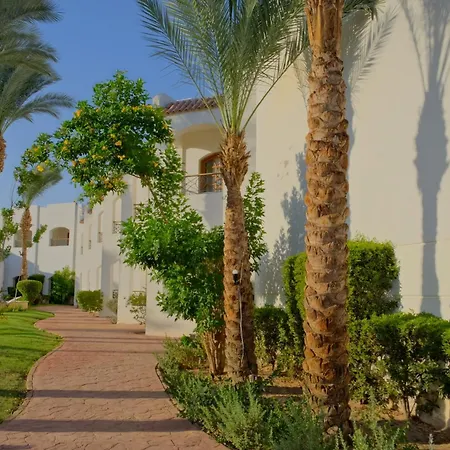 Coral Hills Resort Sharm El-Sheikh-2